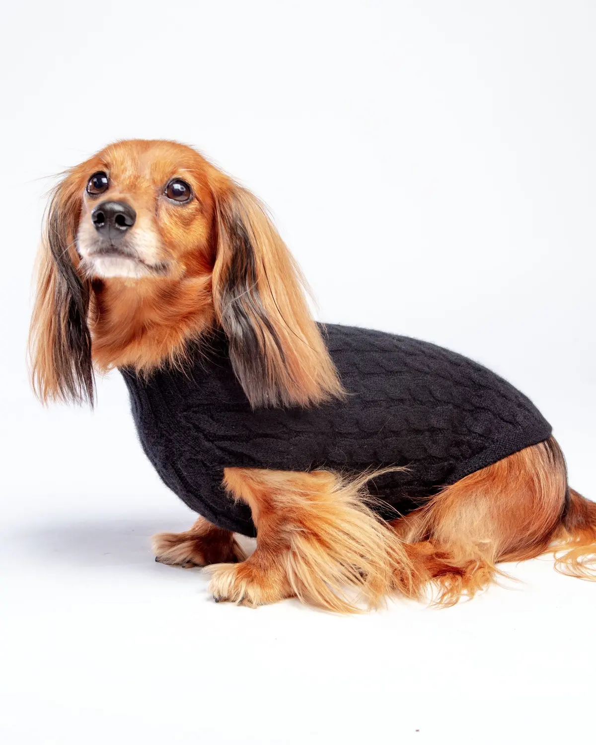The Uptown Cable Knit Sweater In Black Cashmere (Made In Nyc) 1