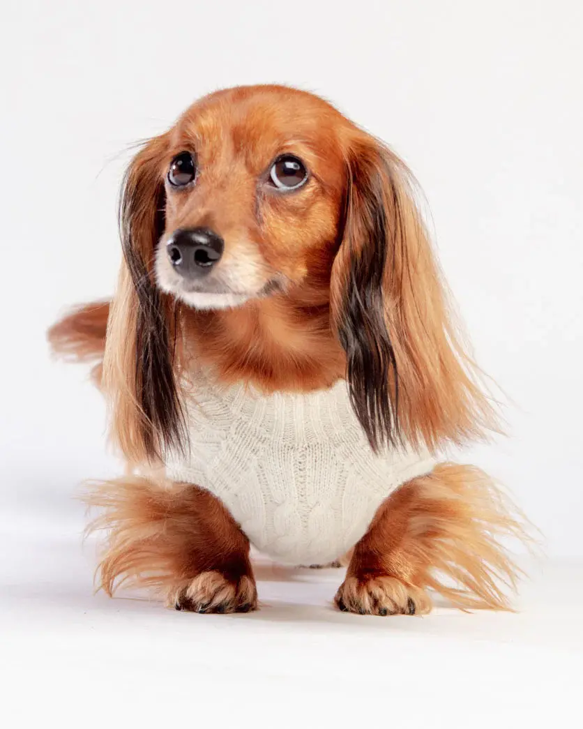 The Uptown Cable Knit Sweater In Natural Merino Wool (Made In Nyc) 1