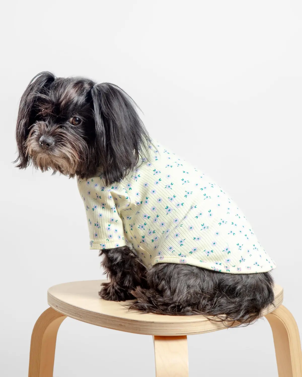 Forget-Me-Not Cozy Dog Shirt In Yellow (Final Sale) 1