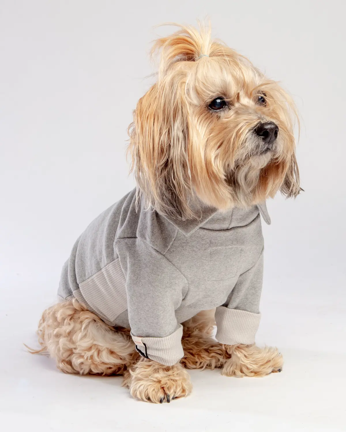 High V-Neck Pullover In Light Grey<Br>((Final Sale)) 1