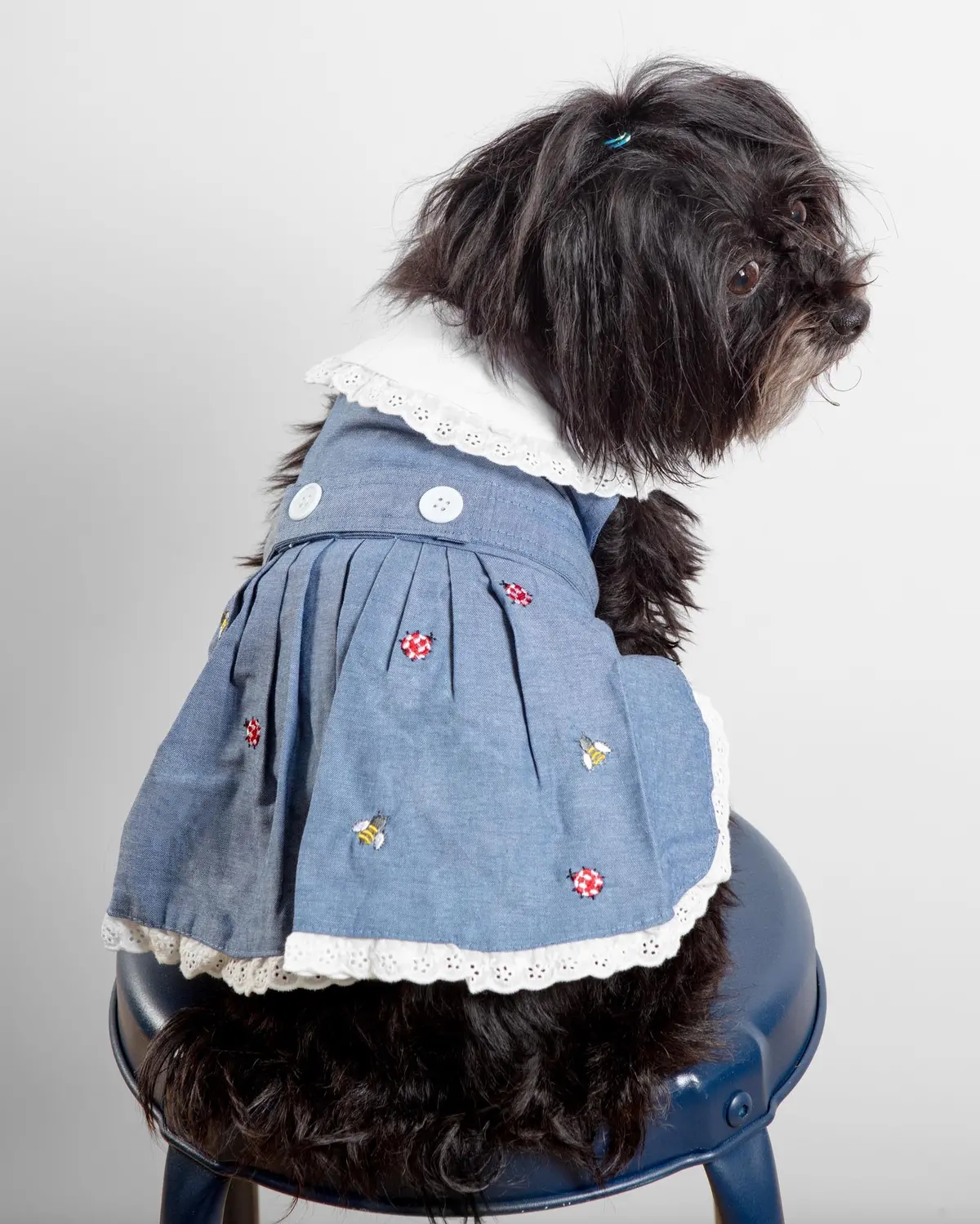 The Bugs + The Bees Chambray Dog Dress (Final Sale) 2