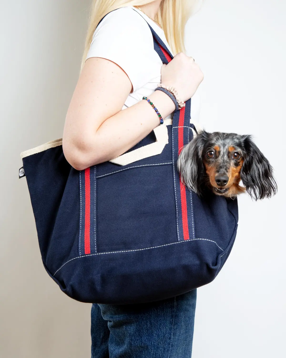 City Carrier Dog Bag In Size 2 1