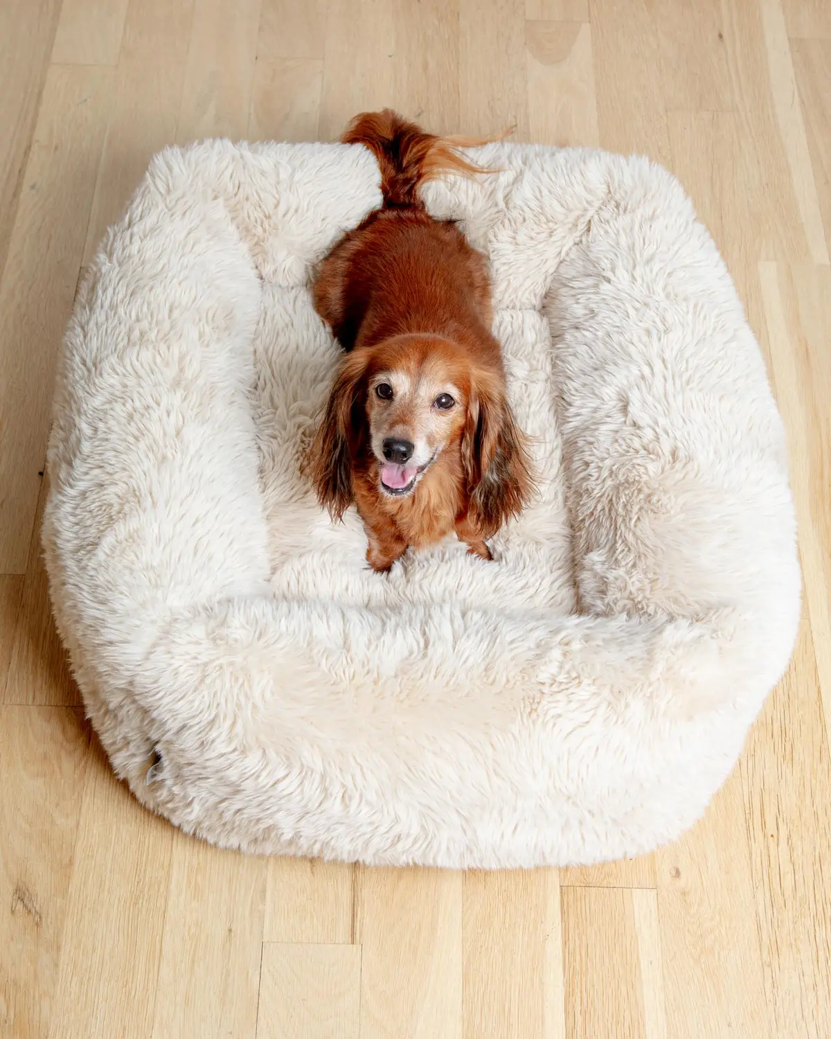 The Franklin Dog Bed In Fluffernutter (Direct-Ship) 1