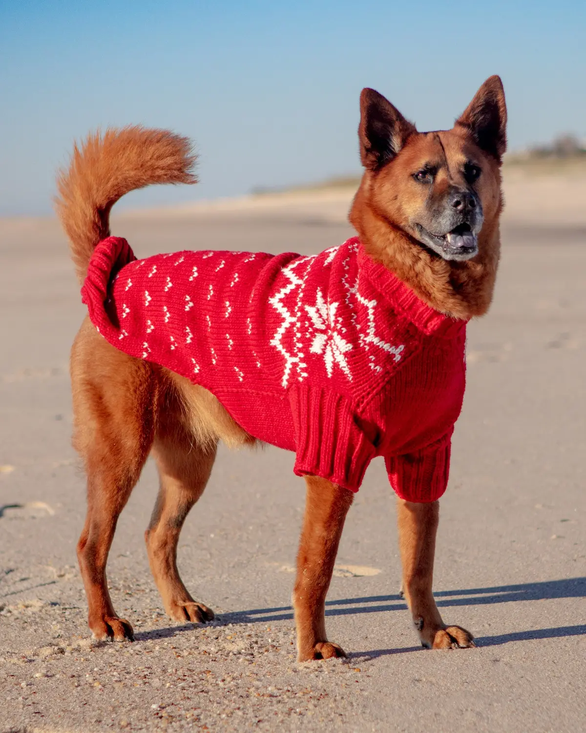 Warm-All-Winter Happy Handknit Snowflake Sweater (Clearance) 1