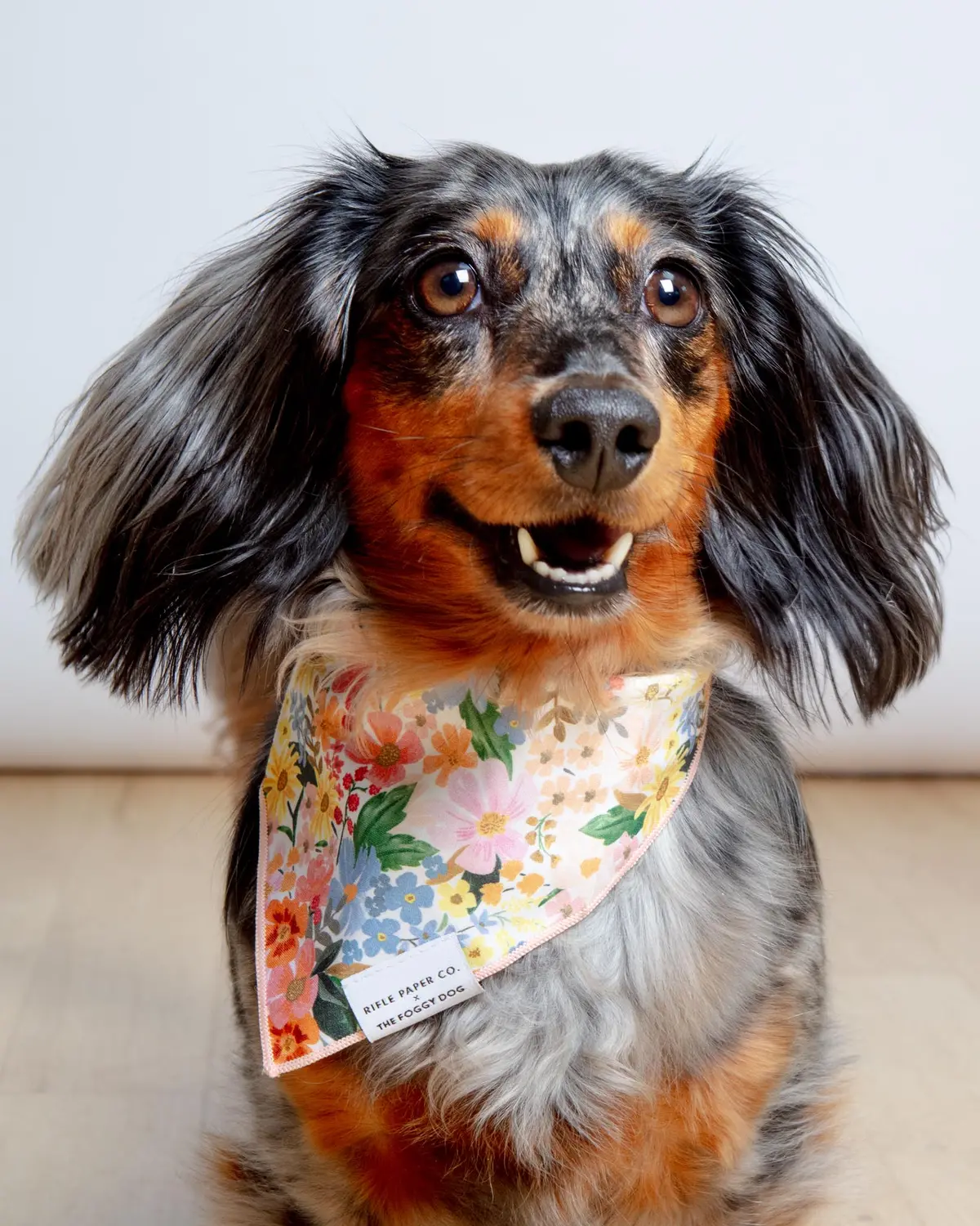 Rifle Paper Co. X Tfd Marguerite Floral Dog Bandana Final Sale 1