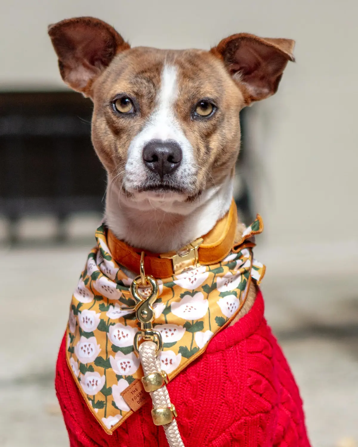 Goldenflowers Dog Bandana (Made In The Usa) )(Final Sale) 1