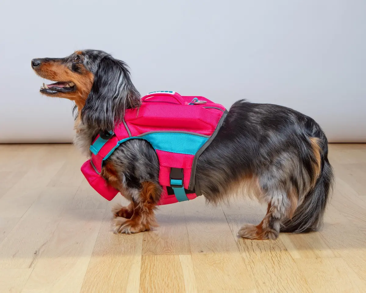 Monterey Bay Offshore Dog Life Jacket In Sunset Pink 3