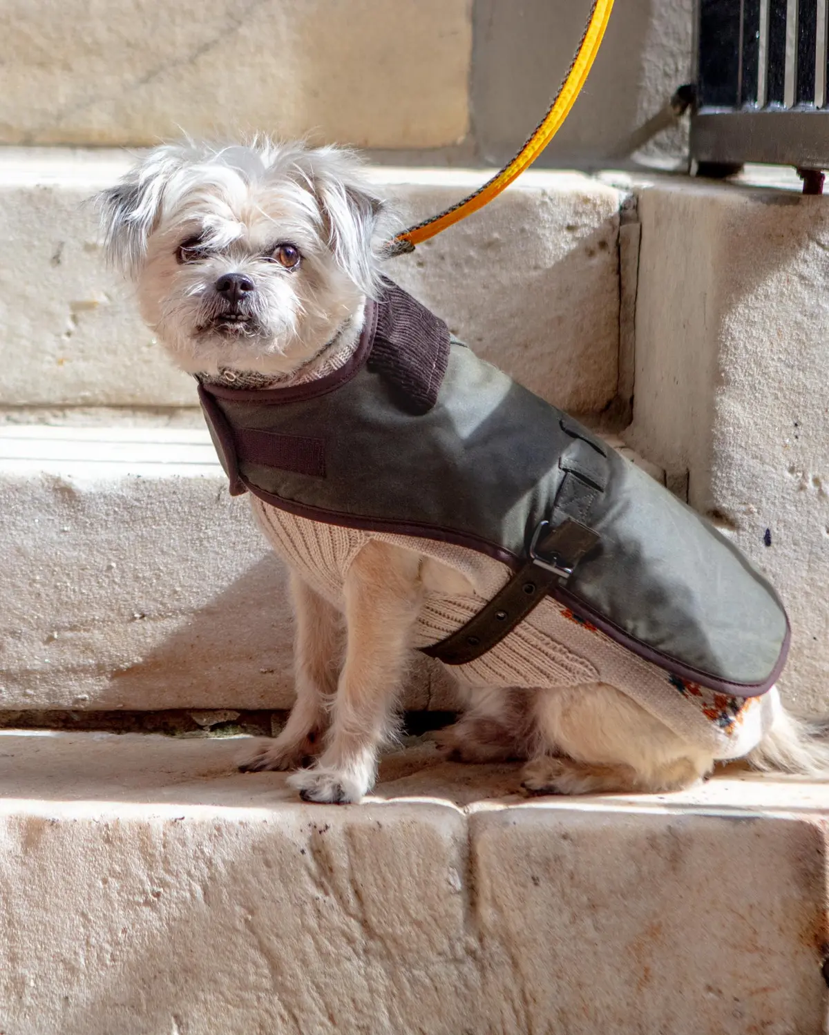 Wax Cotton All Weather Dog Jacket In Olive Green 1