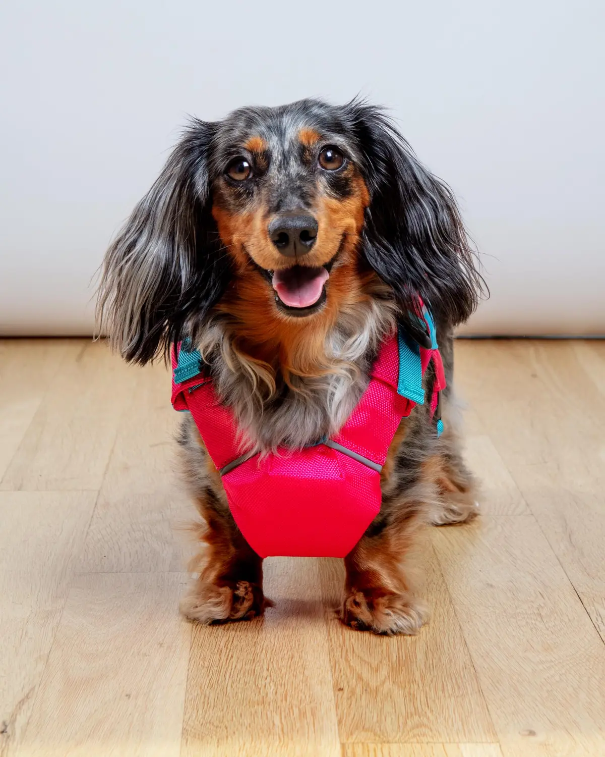 Monterey Bay Offshore Dog Life Jacket In Sunset Pink 2