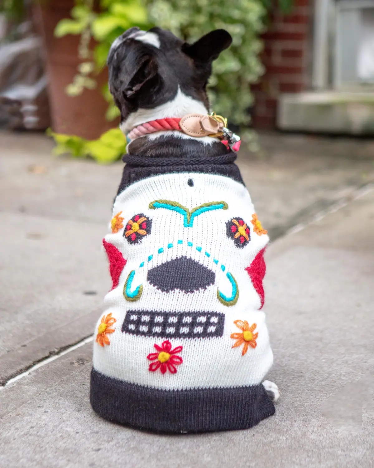 Day Of The Dead Handknit Dog Sweater (Final Sale) 1