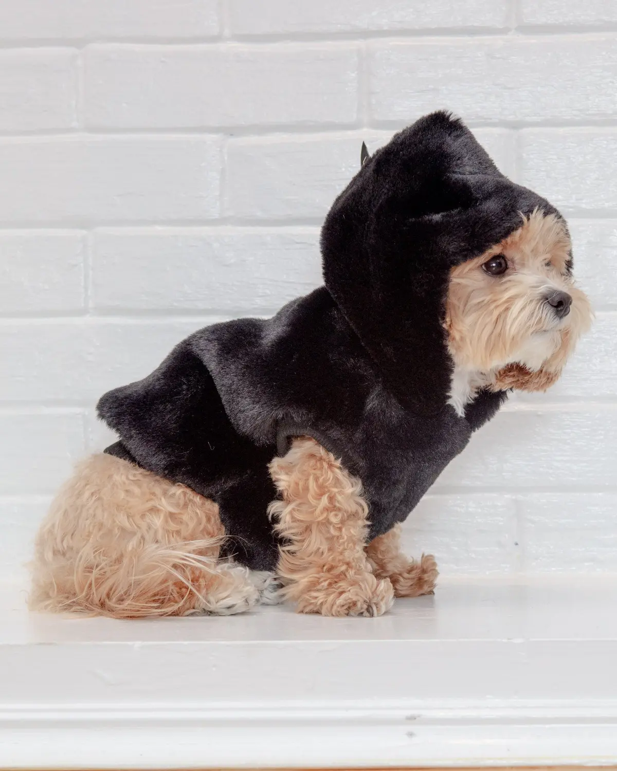 Faux Fur Dog Hoodie In Black << Clearance >> 1