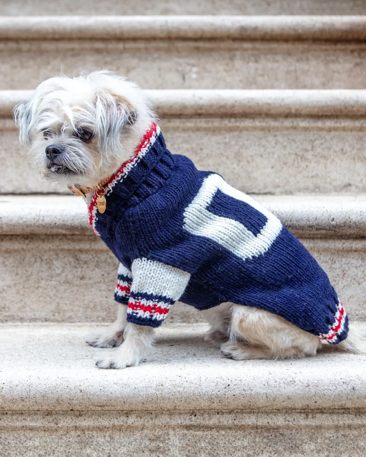 Varsity Wool Dog Sweater (Final Sale) 1