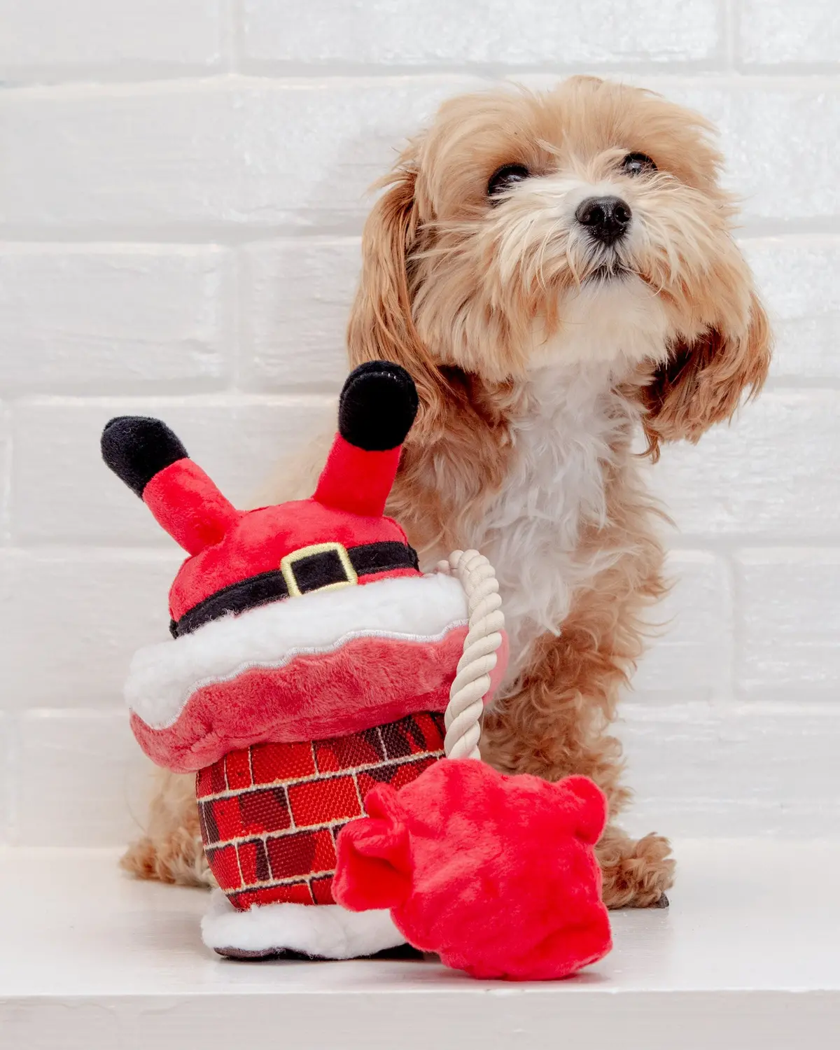 Clumsy Claus Holiday Squeak + Crinkle Dog Toy << Final Sale >> 1