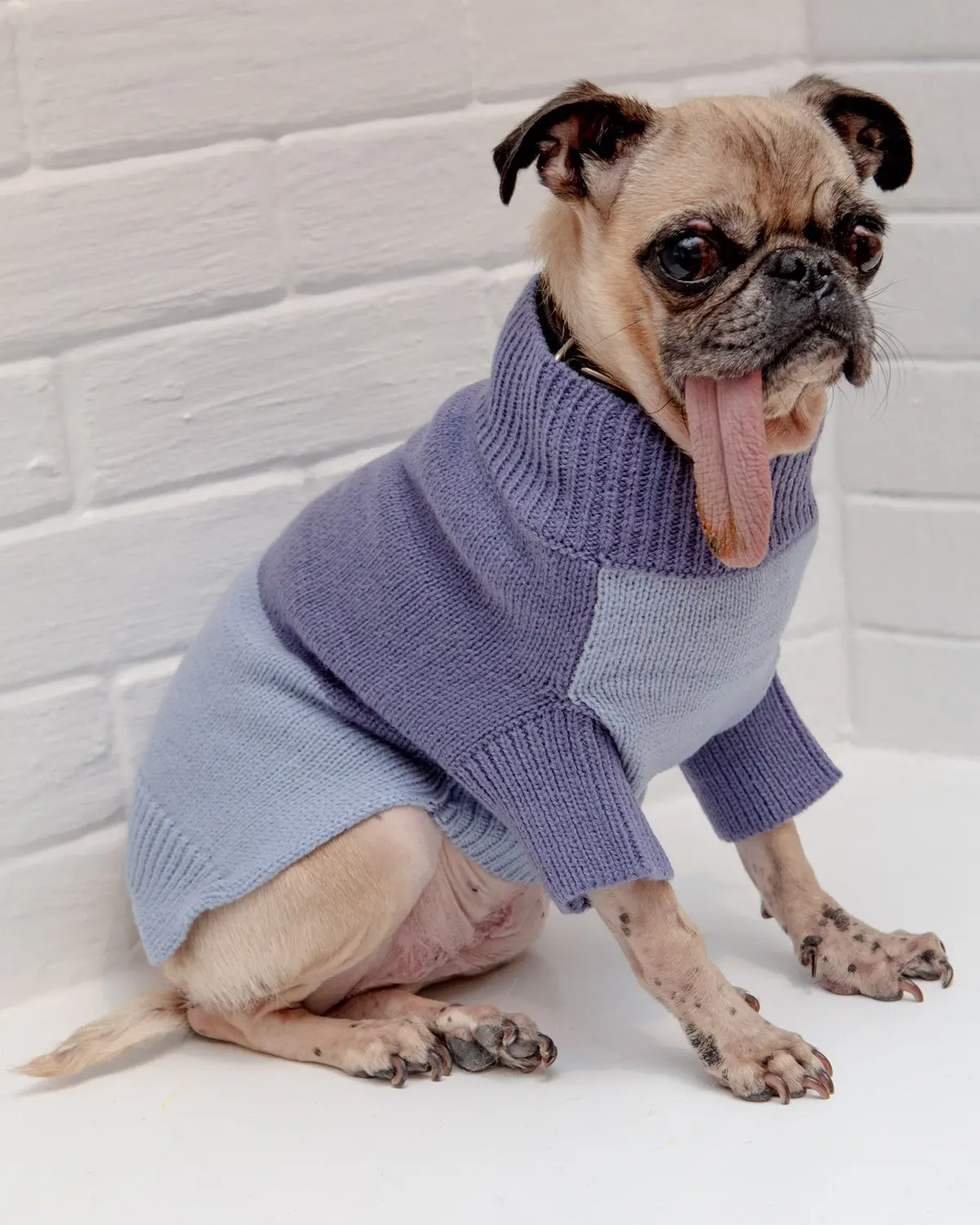 Colorblock Knit Dog Sweater In 2-Tone Blue<Br>((Final Sale)) 1