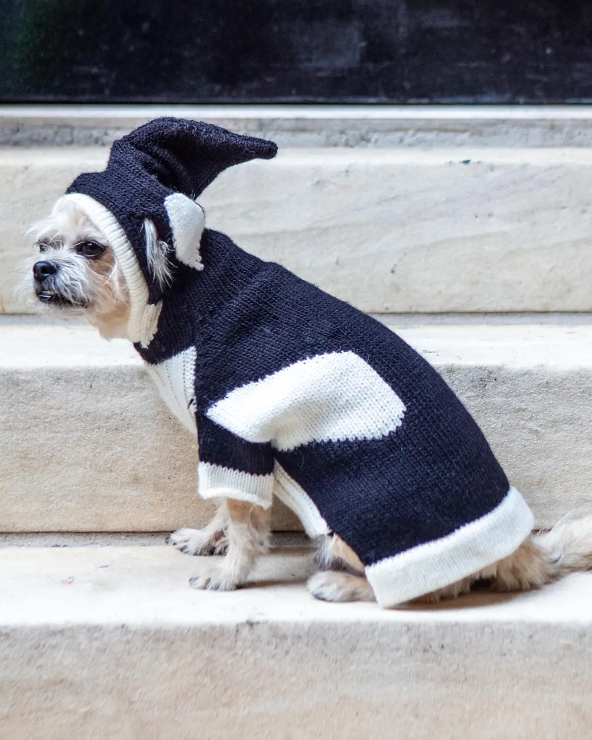 Orca Whale Handknit Dog Sweater W/ Hood (Final Sale) 1