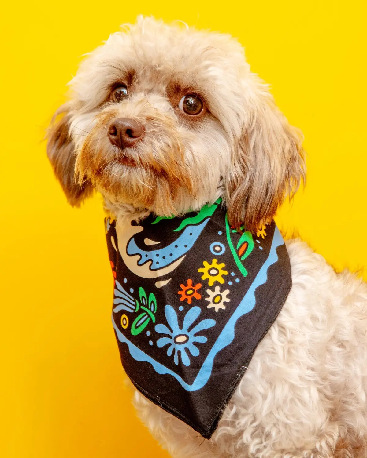 Tropic Like It's Hot Organic Cotton Bandana 1