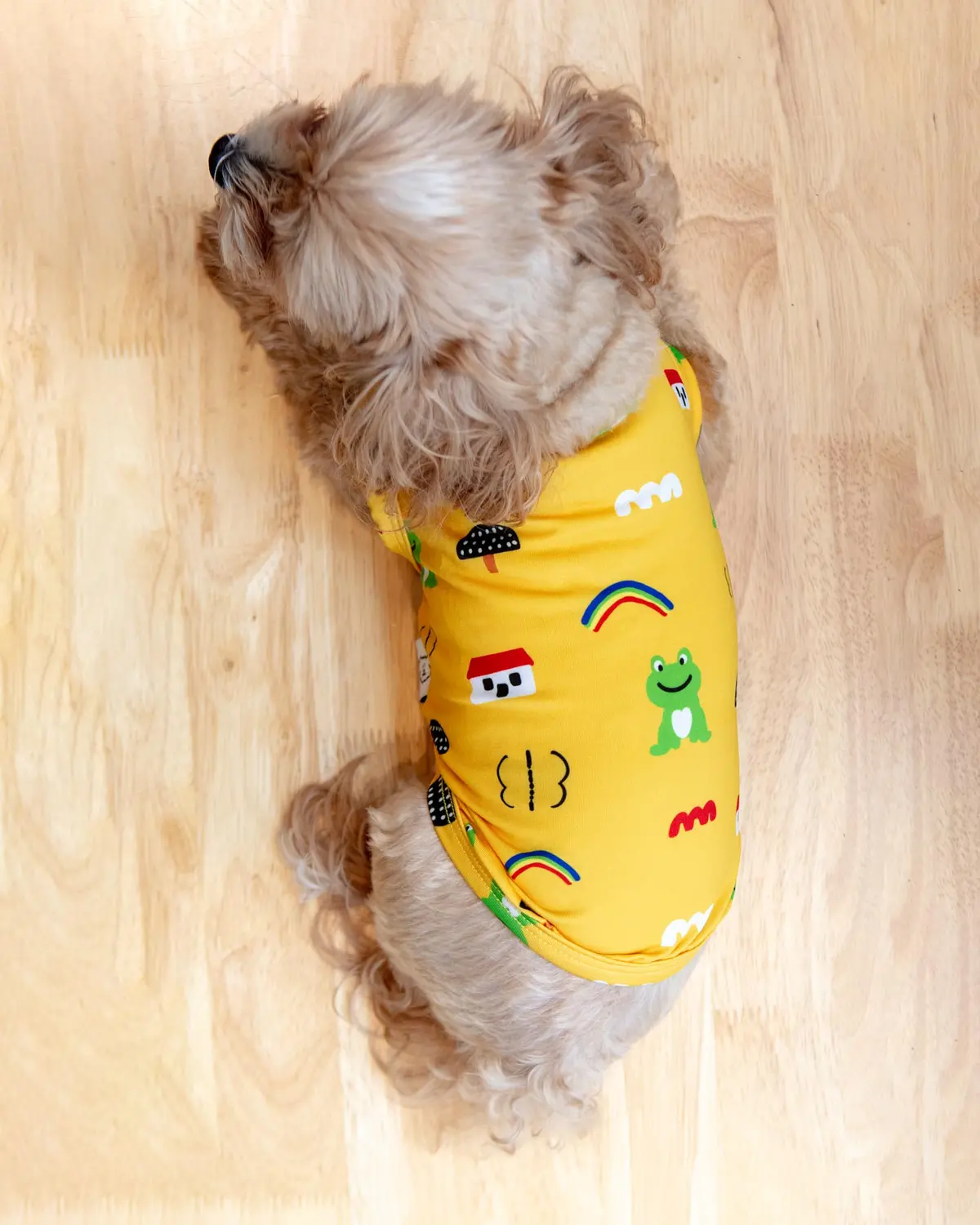 Froggy Friend Dog Cooling Tee 1