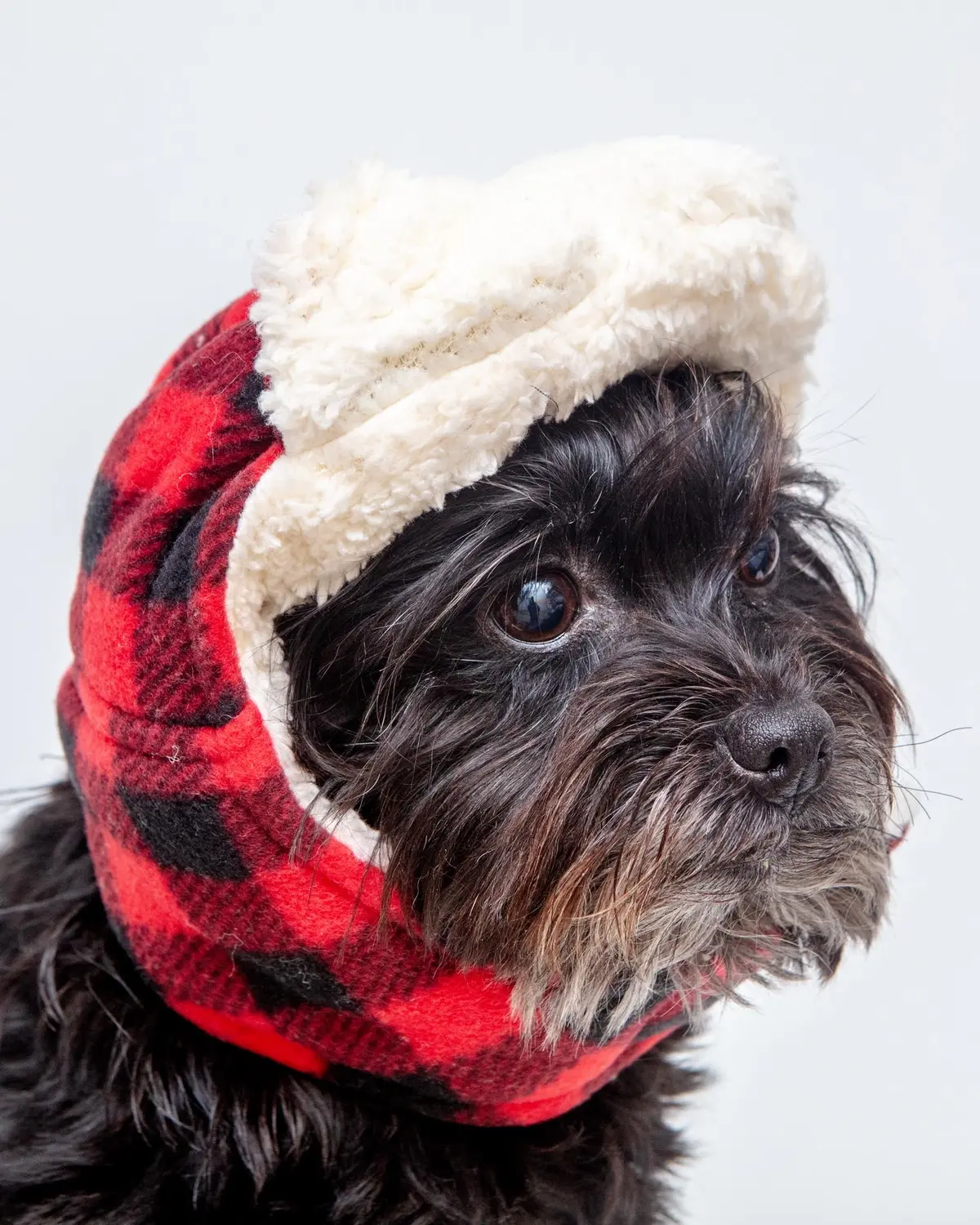 Flannel & Fleece Aviator Dog Hat In Buffalo Plaid (Clearance) 1
