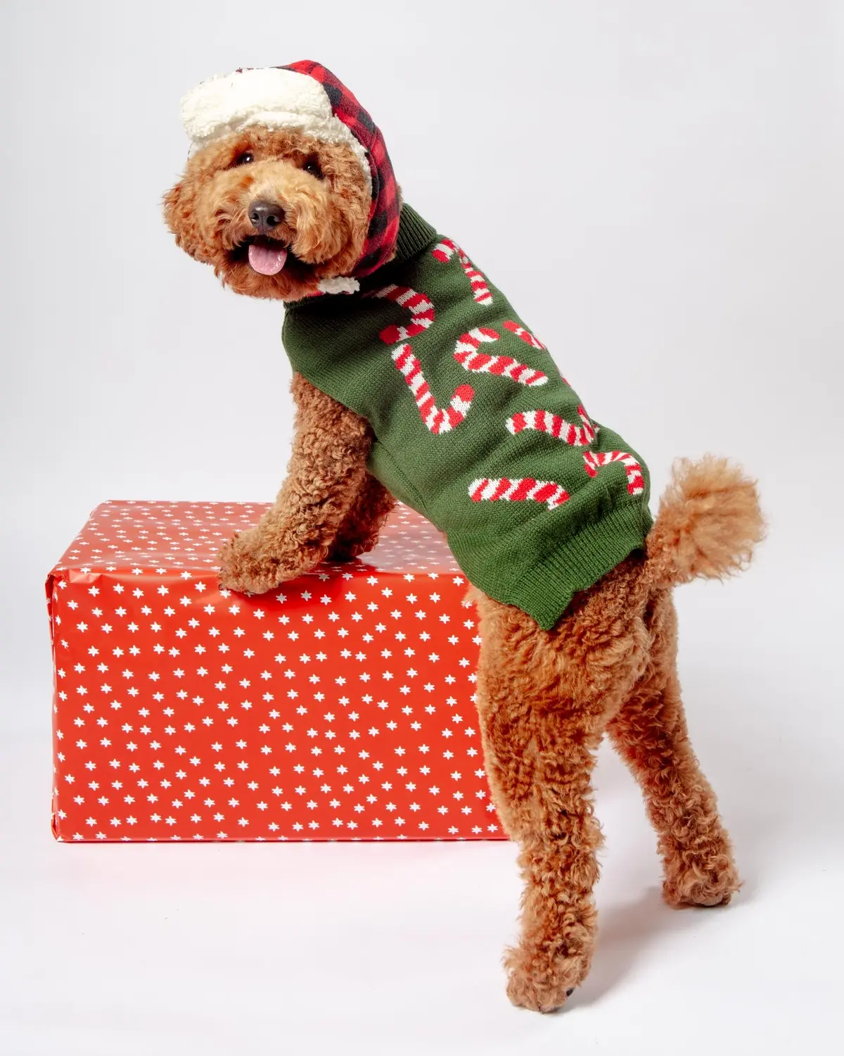 Vintage Candy Cane Holiday Dog Sweater 1