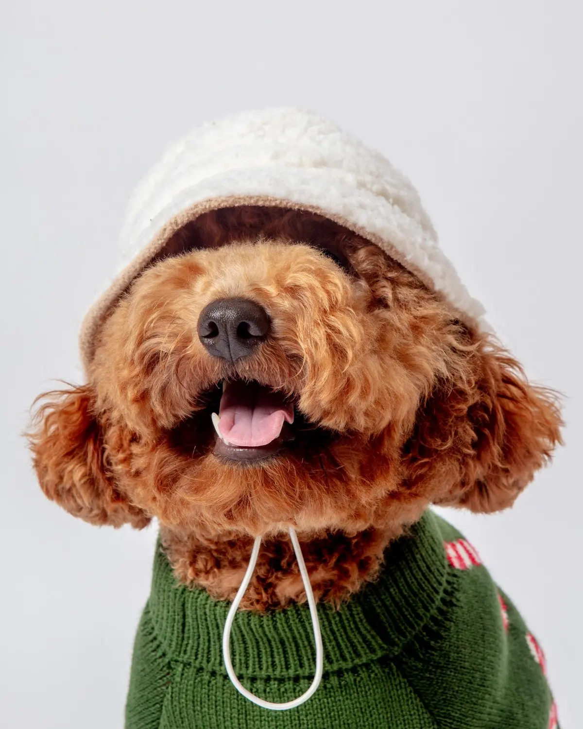 Sherpa Bucket Hat For Dogs (Final Sale) 1