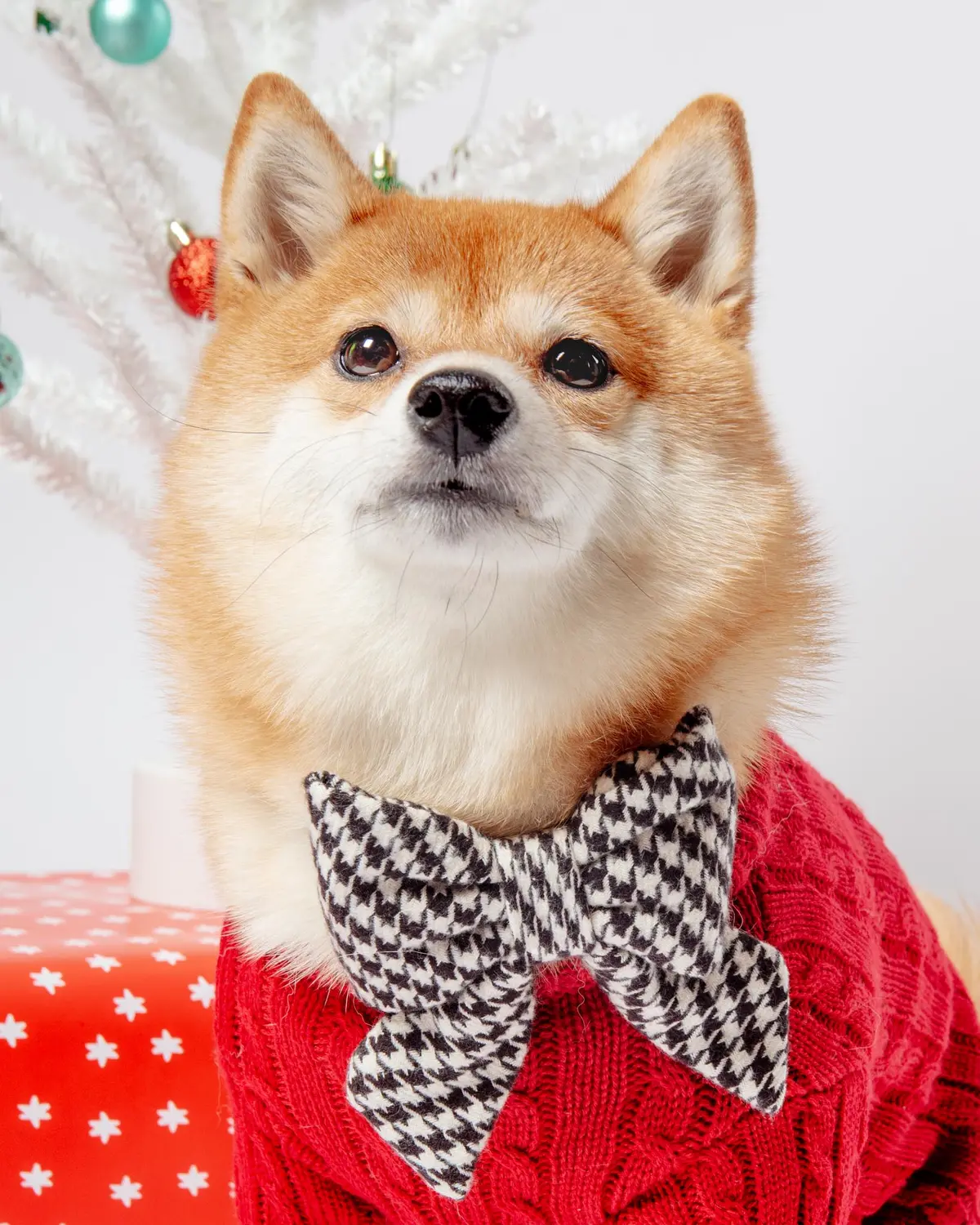 Houndstooth Flannel Lady Dog Bow 1