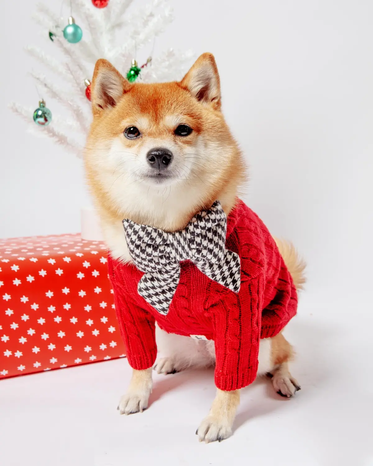 Classic Cable Knit Dog Cardigan In Red 1
