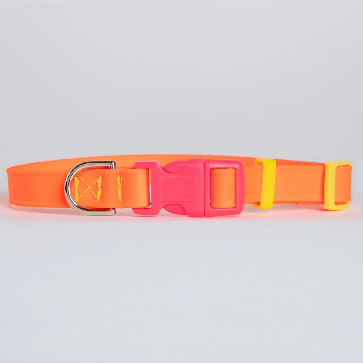 A Walk In The Park Dog Collar In Neon Orange (Made In The Usa) 1