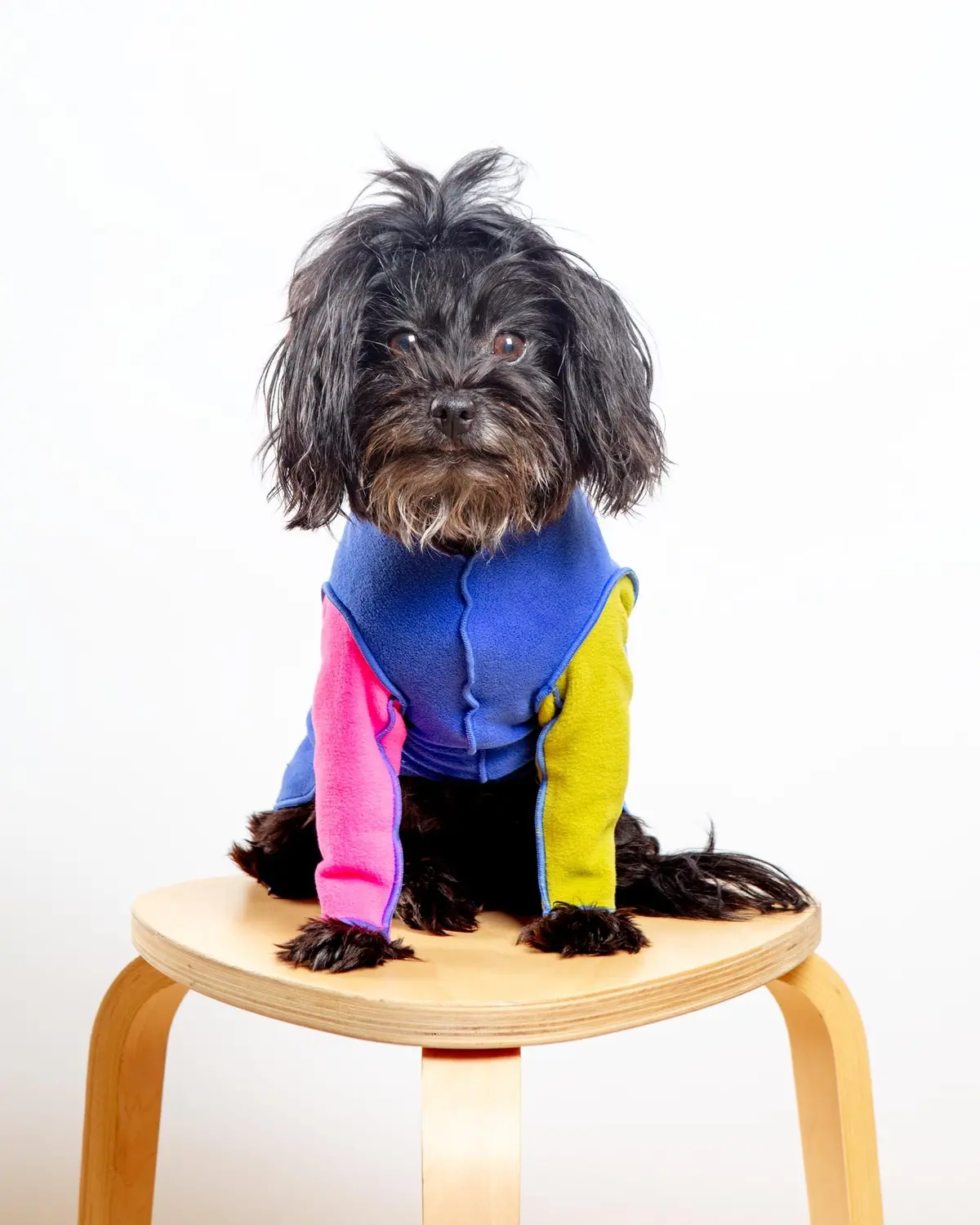 Long-Sleeve Stretch Fleece In Crazy For The 80S (Made In The Usa) (Dog & Co. + Gold Paw Exclusive!) 1