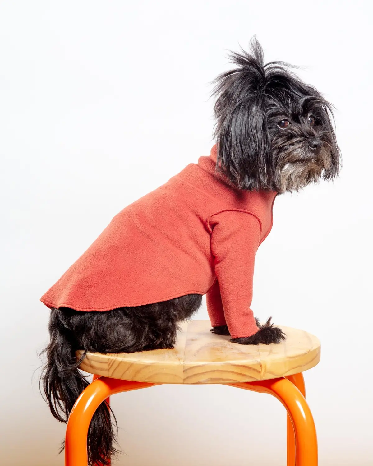 Long-Sleeve Stretch Fleece In Paprika (Made In The Usa, Dog & Co. + Gold Paw Exclusive!) 1