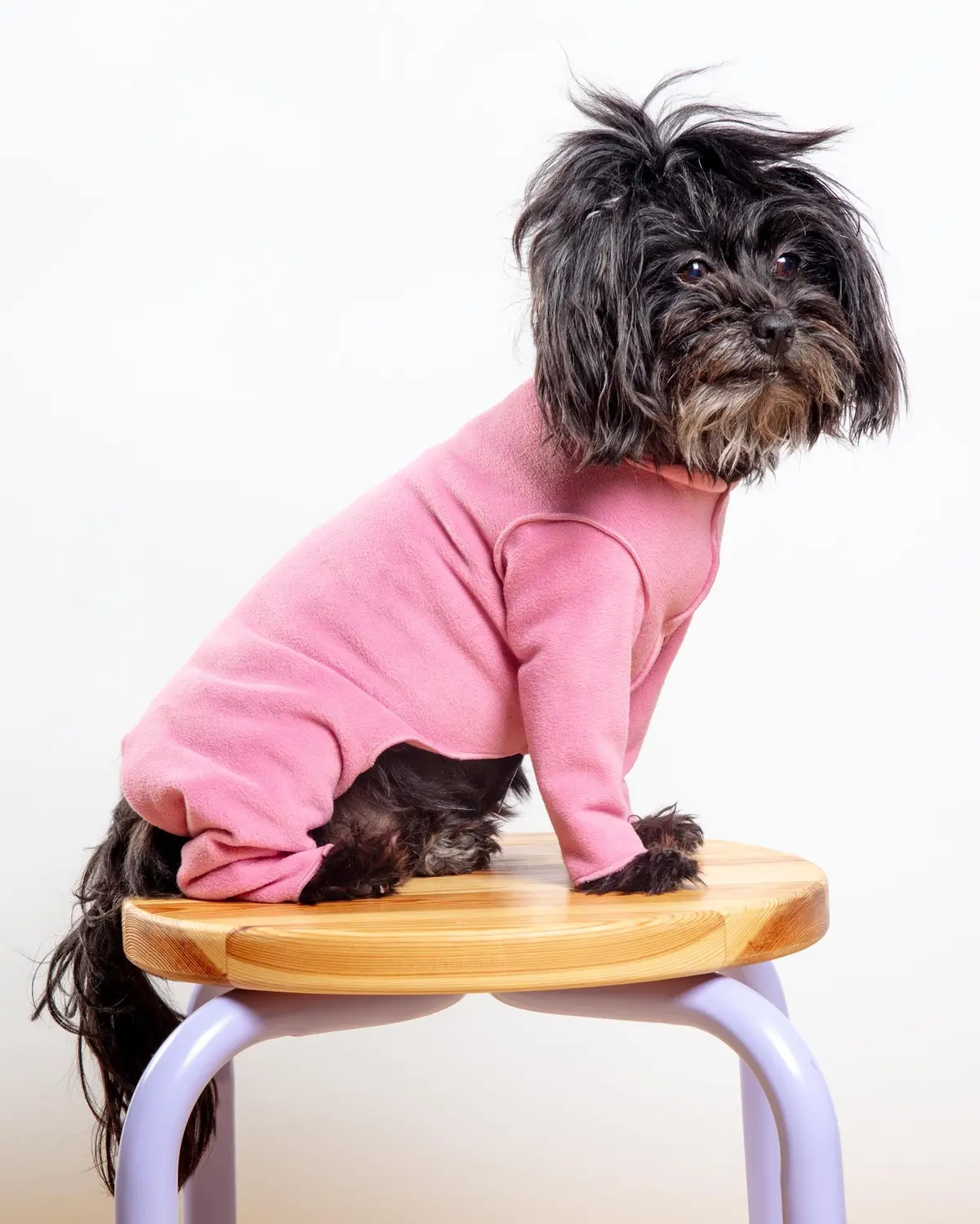 Stretch Fleece Onesie In Rose Pink (Made In The Usa) (Dog & Co. + Gold Paw Exclusive!) (Final Sale) 1