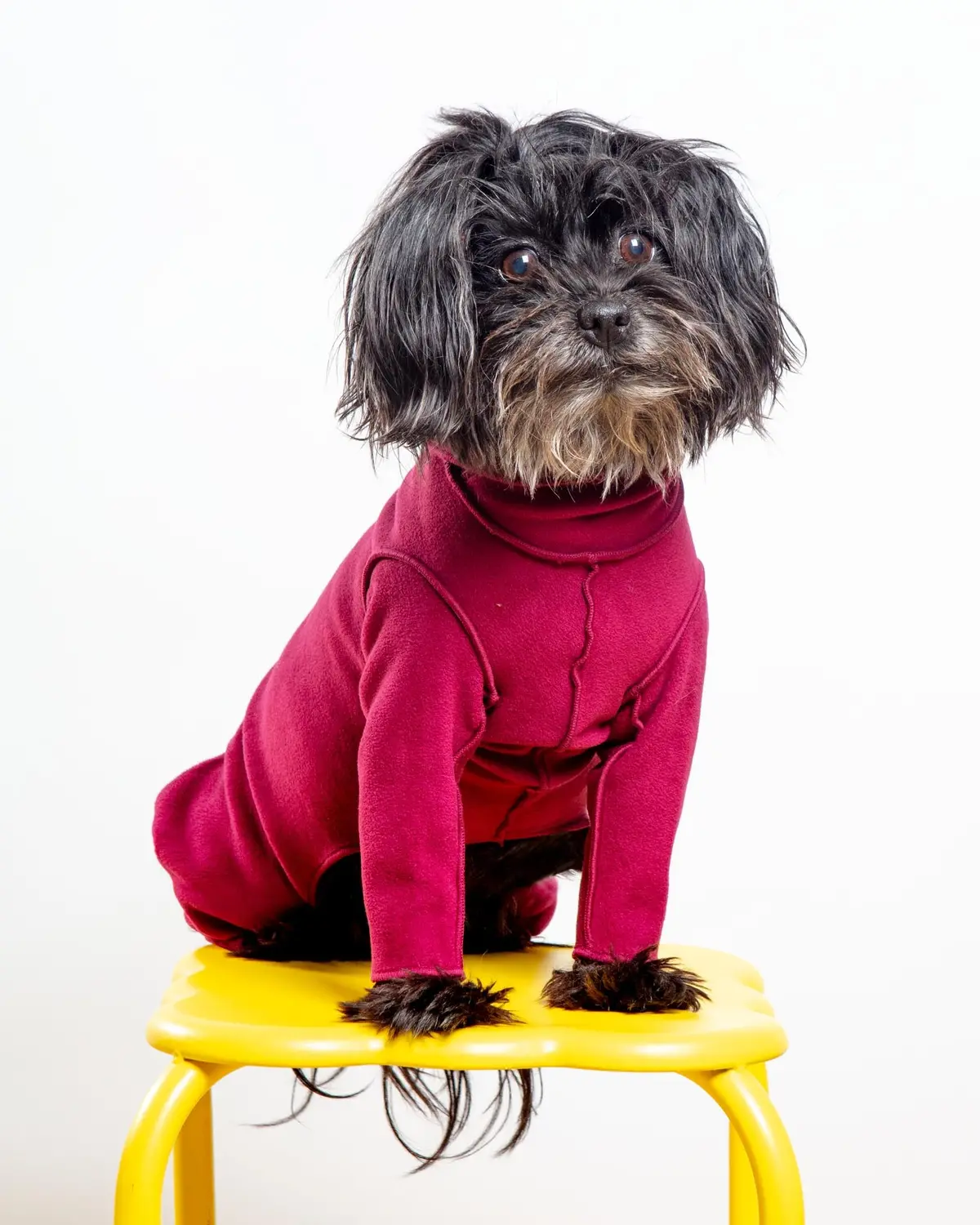 Stretch Fleece Onesie With Shawl Collar In Garnet (Made In The Usa, Dog & Co. + Gold Paw Exclusive!) (Final Sale) 2