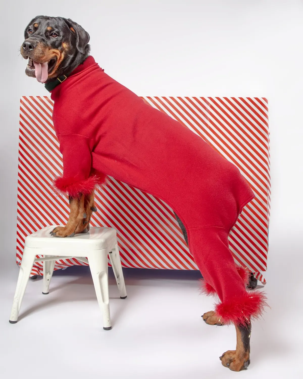Holiday Glitz Feather Dog Onesie (Final Sale) 1