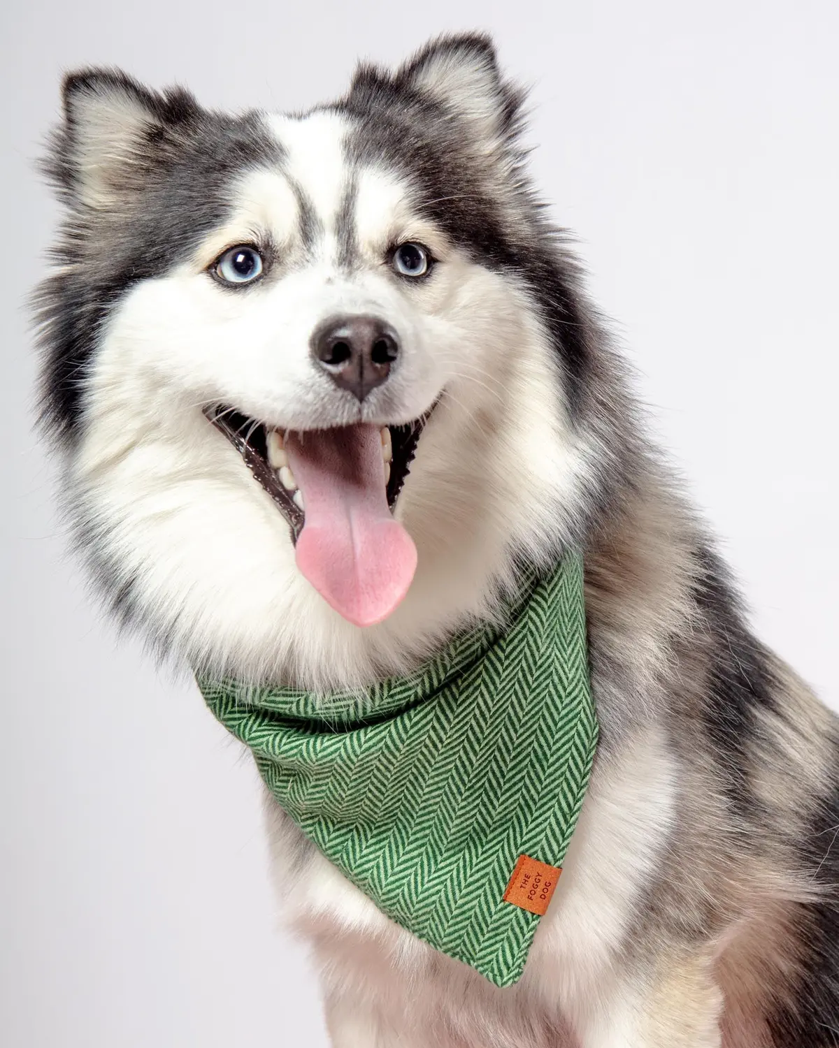 Green Herringbone Flannel Dog Bandana (Made In The Usa) 1