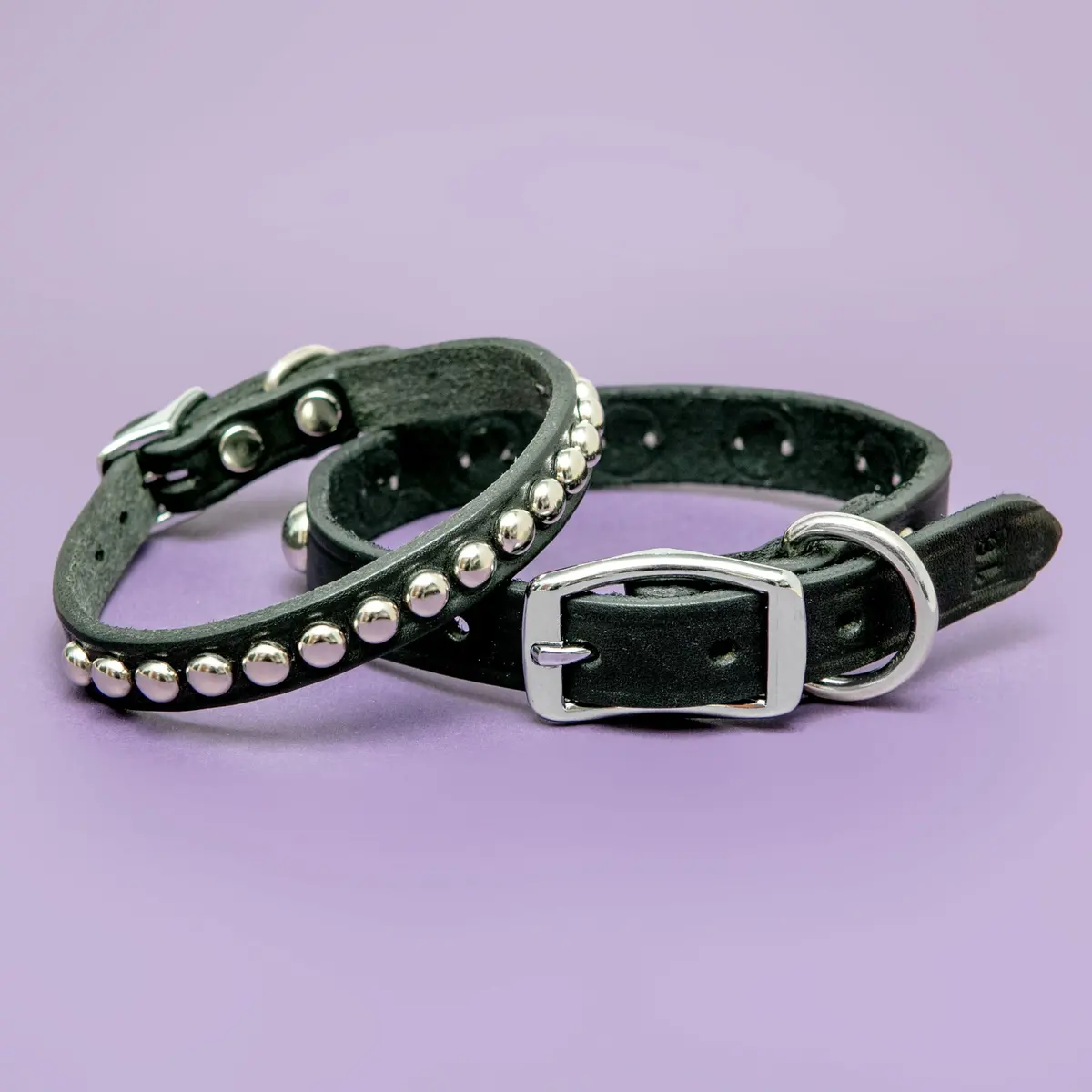 Hey Stud Black Leather Dog Collar (Made In The Usa) (Final Sale) 1
