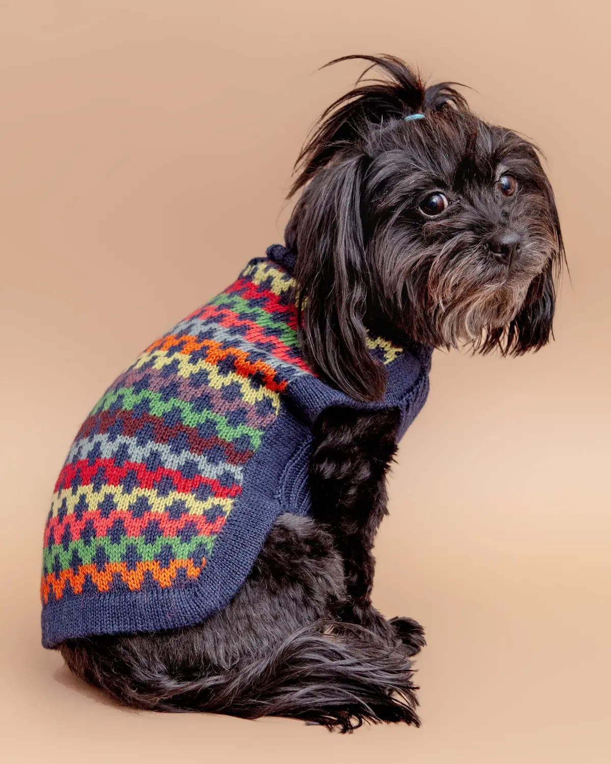 Crossroads Alpaca Dog Sweater In Blue (Final Sale) 1