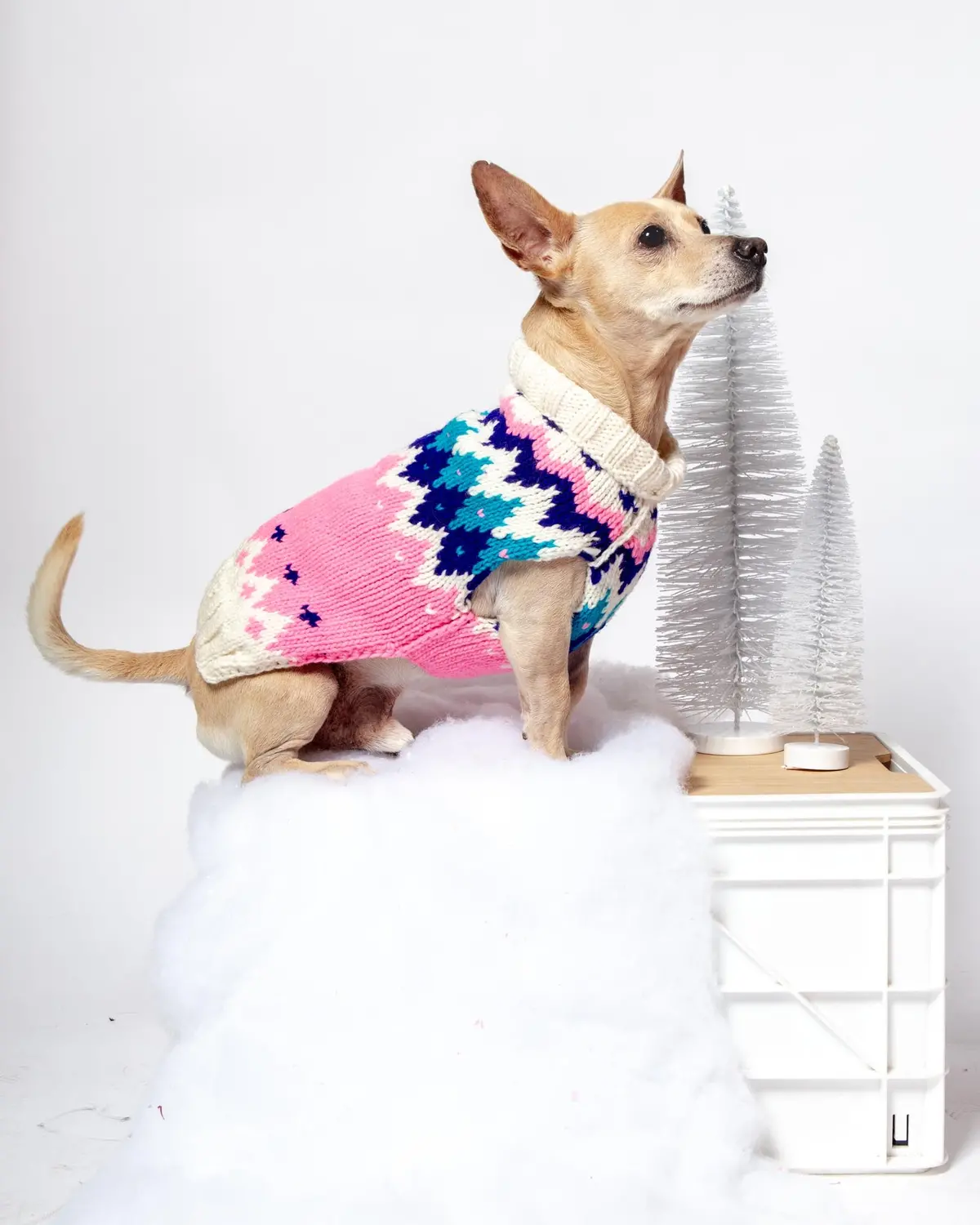 Ski Bum Dog Sweater In Pink (Final Sale) 1