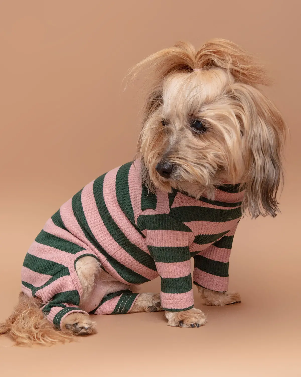 Pink Elephant Stripe Ribbed Onesie (Final Sale) 1