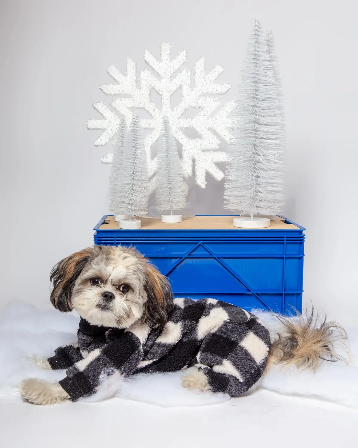 Monster Warmer Dog Onesie In Black Check (Final Sale) 1
