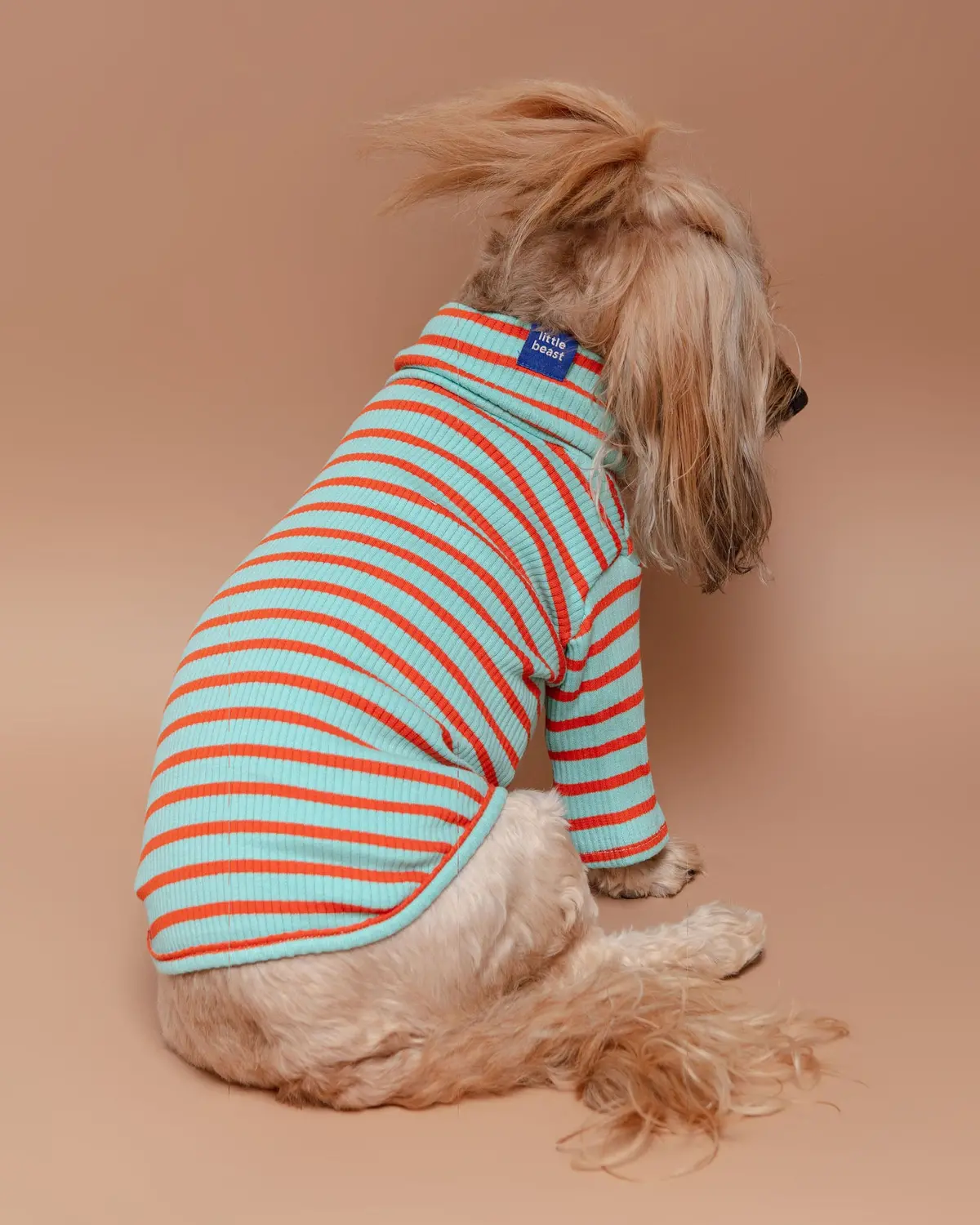 Life's A Beach Ribbed Pullover 1
