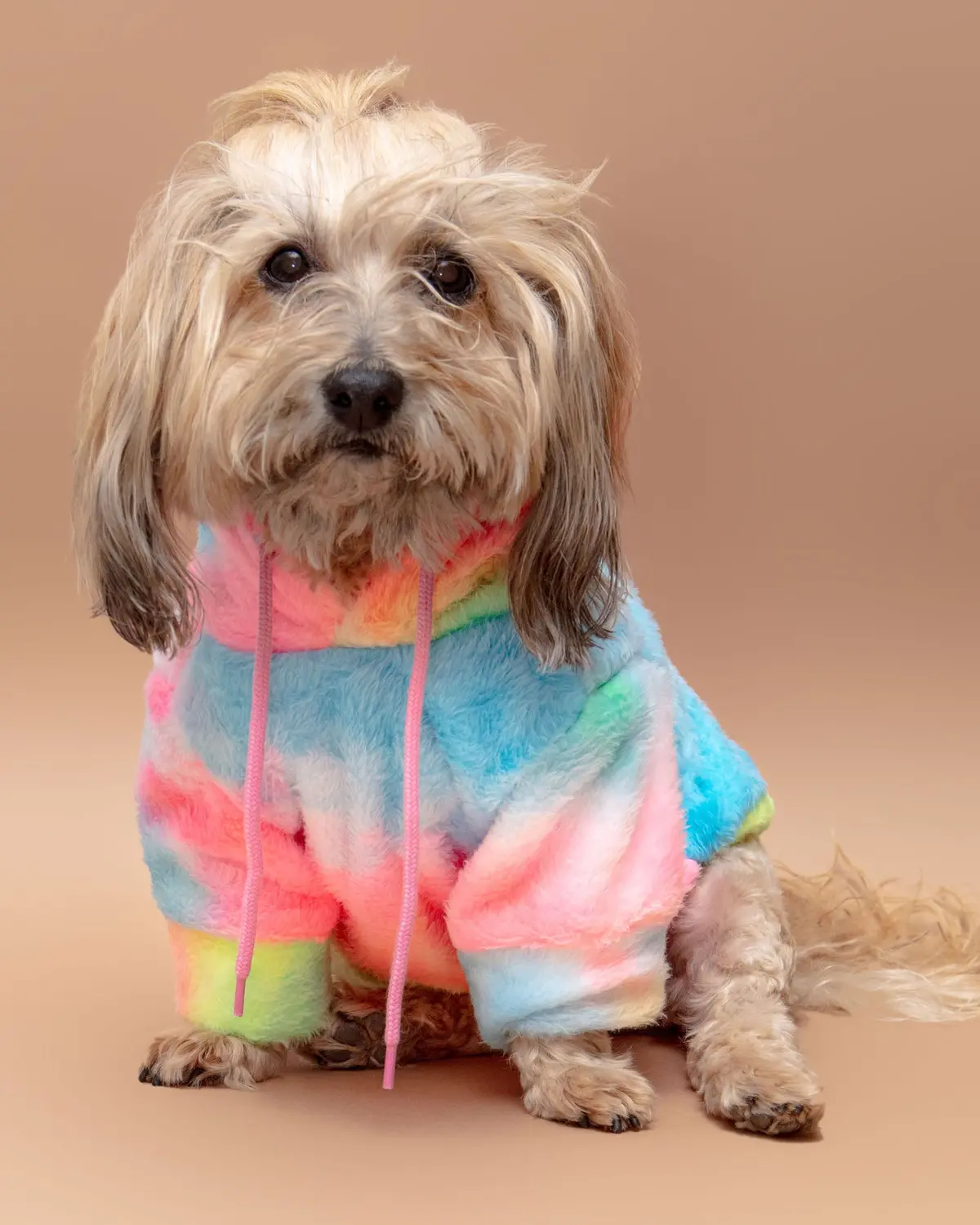 The Pineapple Express Fleece Hoodie<Br>((Final Sale)) 1