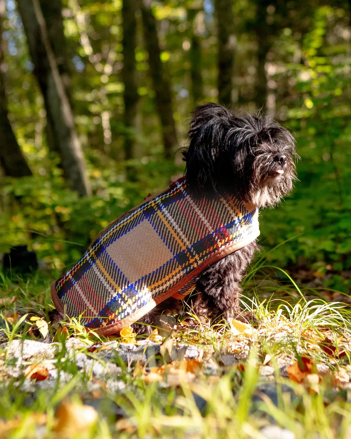 Tan Tartan Plaid Dog Coat 1