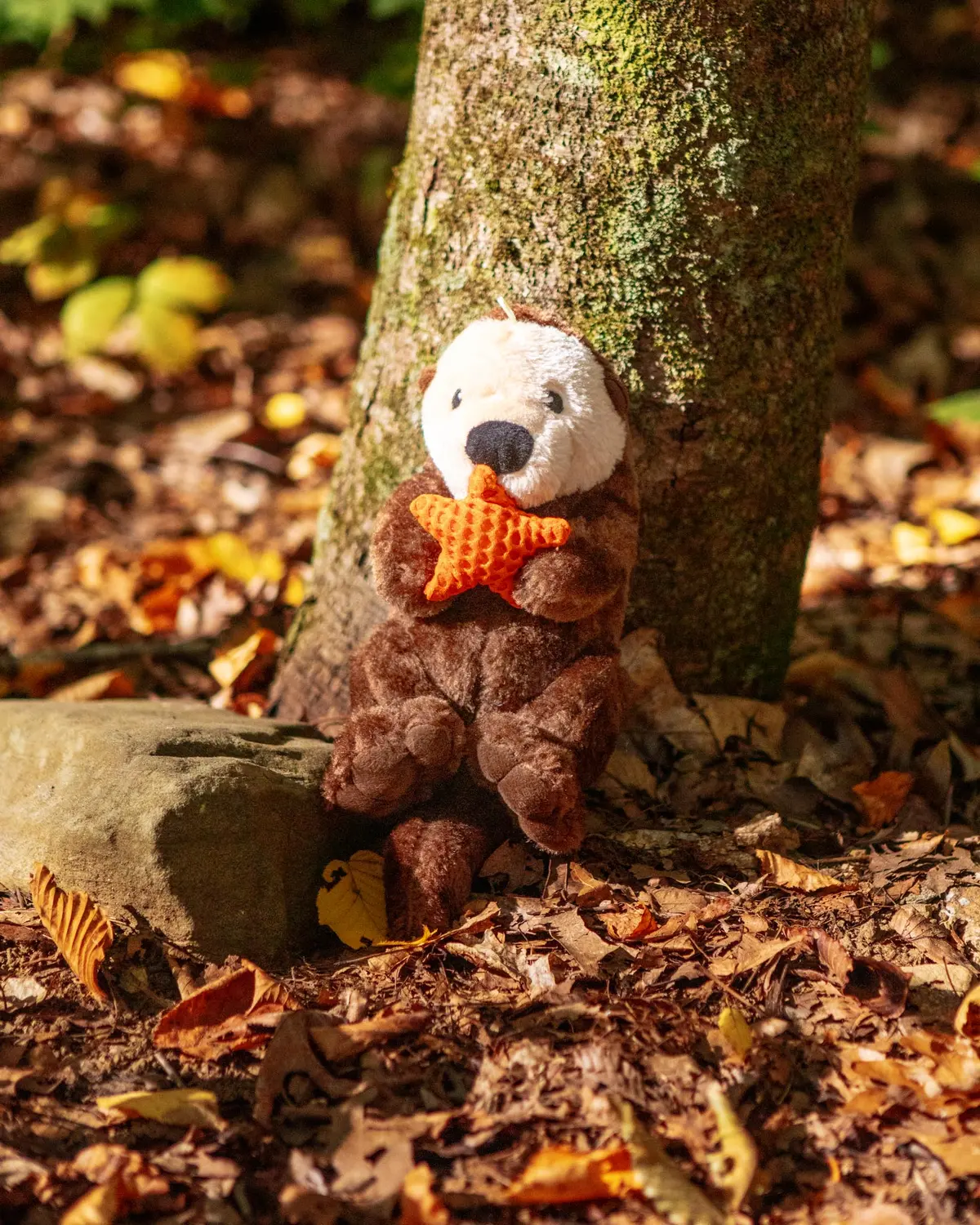 Otter Rope Body Dog Toy 1