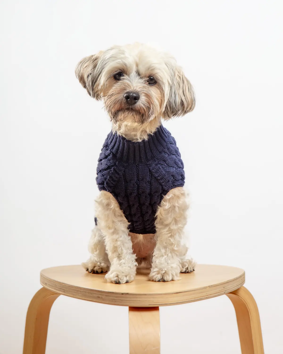 The Uptown Cable Knit Sweater In Navy Blue Cotton (Made In Nyc) 1