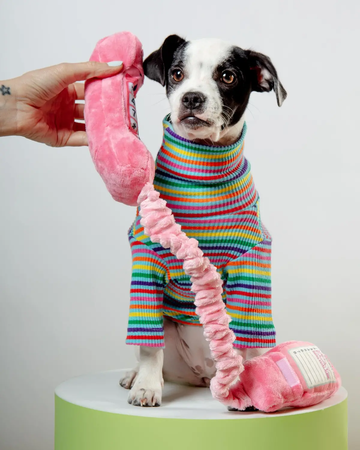 80S Classic Corded Phone Squeaky Dog Toy 1
