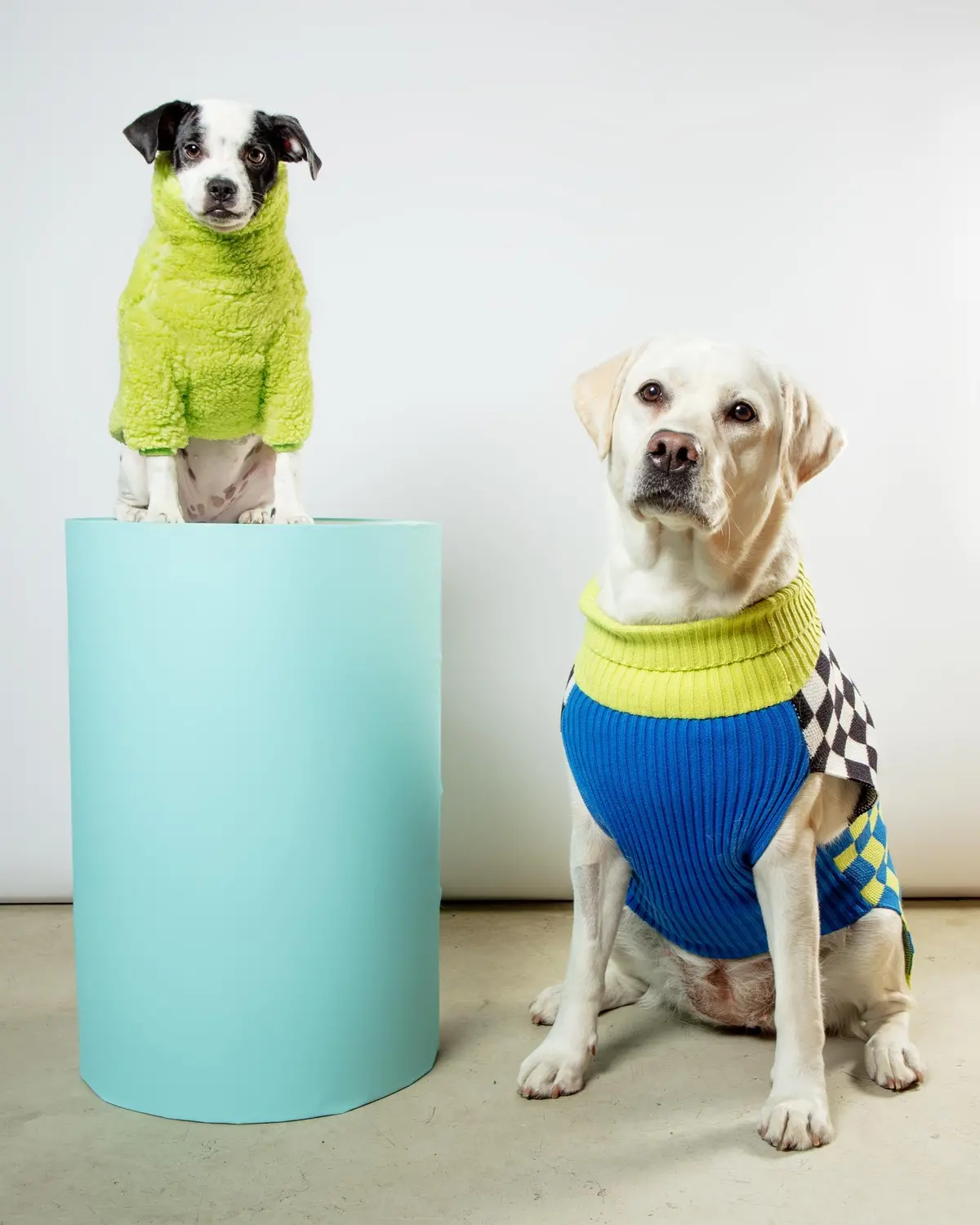 The Highlighter Fleece Sweatshirt (Final Sale) 6