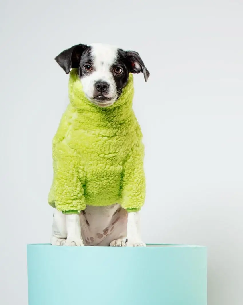 The Highlighter Fleece Sweatshirt (Final Sale) 1