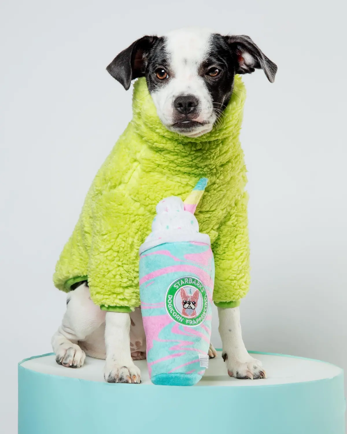 The Highlighter Fleece Sweatshirt (Final Sale) 5