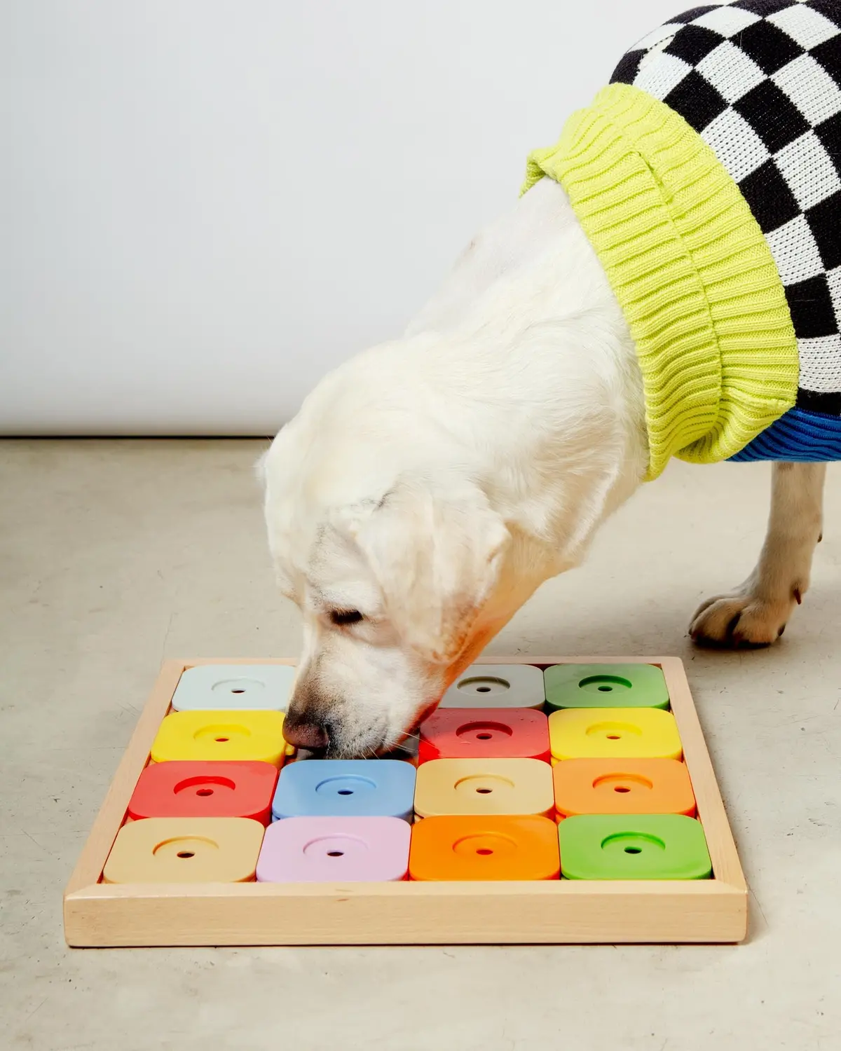 Sudoku Dog Treat Puzzle Game In Rainbow Edition (16 Squares) 1