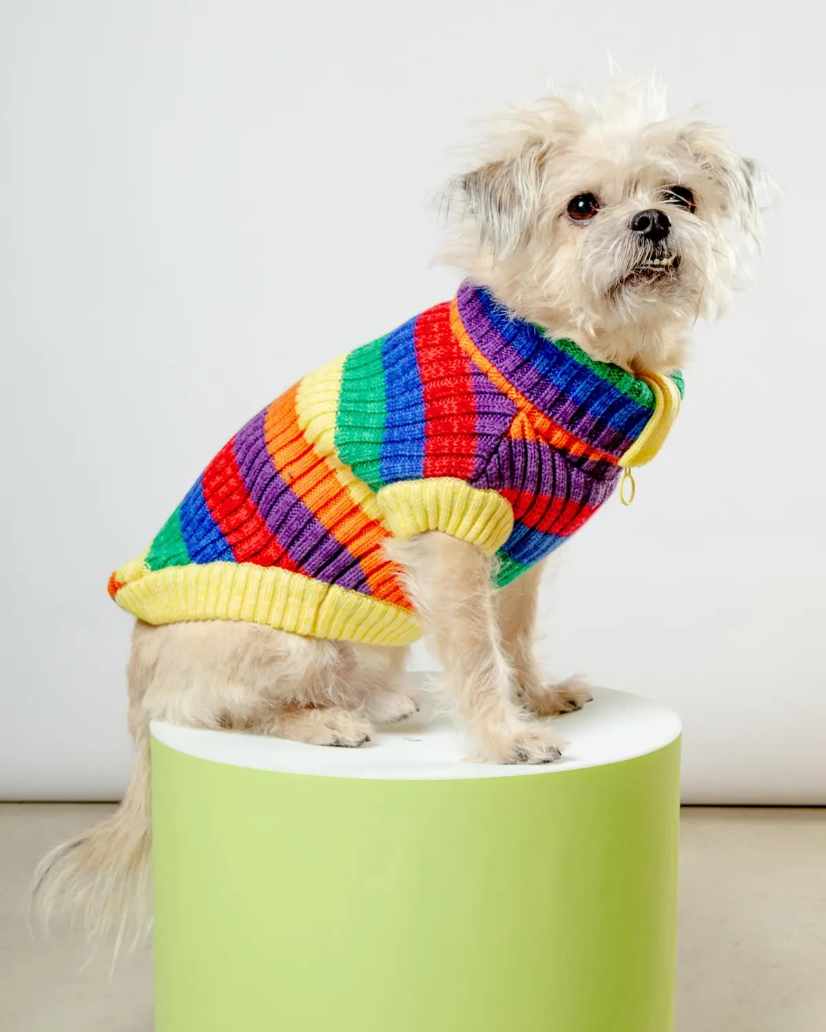 Over The Rainbow Dog Sweater (Final Sale) 1