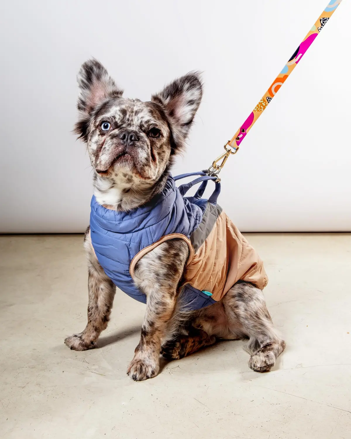 Mountaineer Waterproof Dog Harness Jacket In Tan & Moonstone Blue (Final Sale) 1